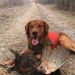 Meet your Posher, Kyle